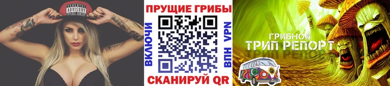 магазин  наркотиков  Ясногорск  Псилоцибиновые грибы Psilocybine cubensis 
